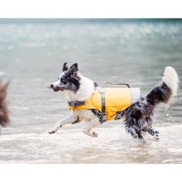 Redningsvest til hund fra Hurtta 